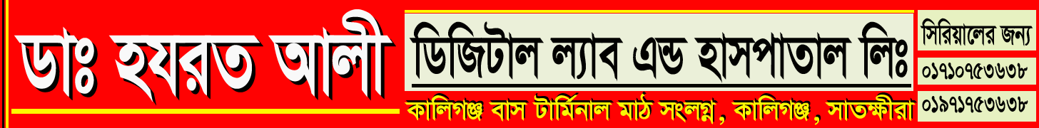 satkhiranews24.com