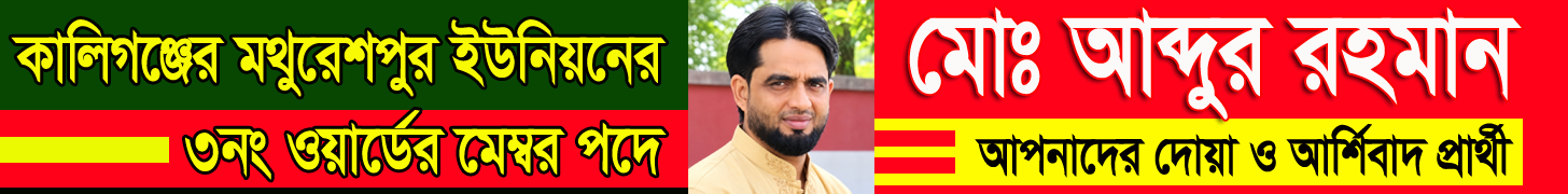 satkhiranews24.com